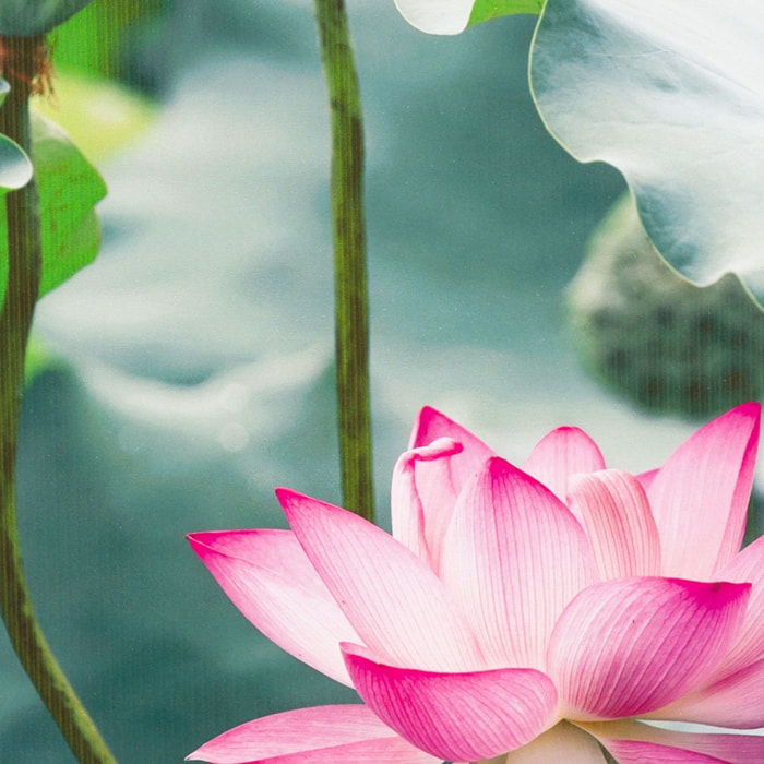 Abattant easy clip à descente assistée fleuri - Vert