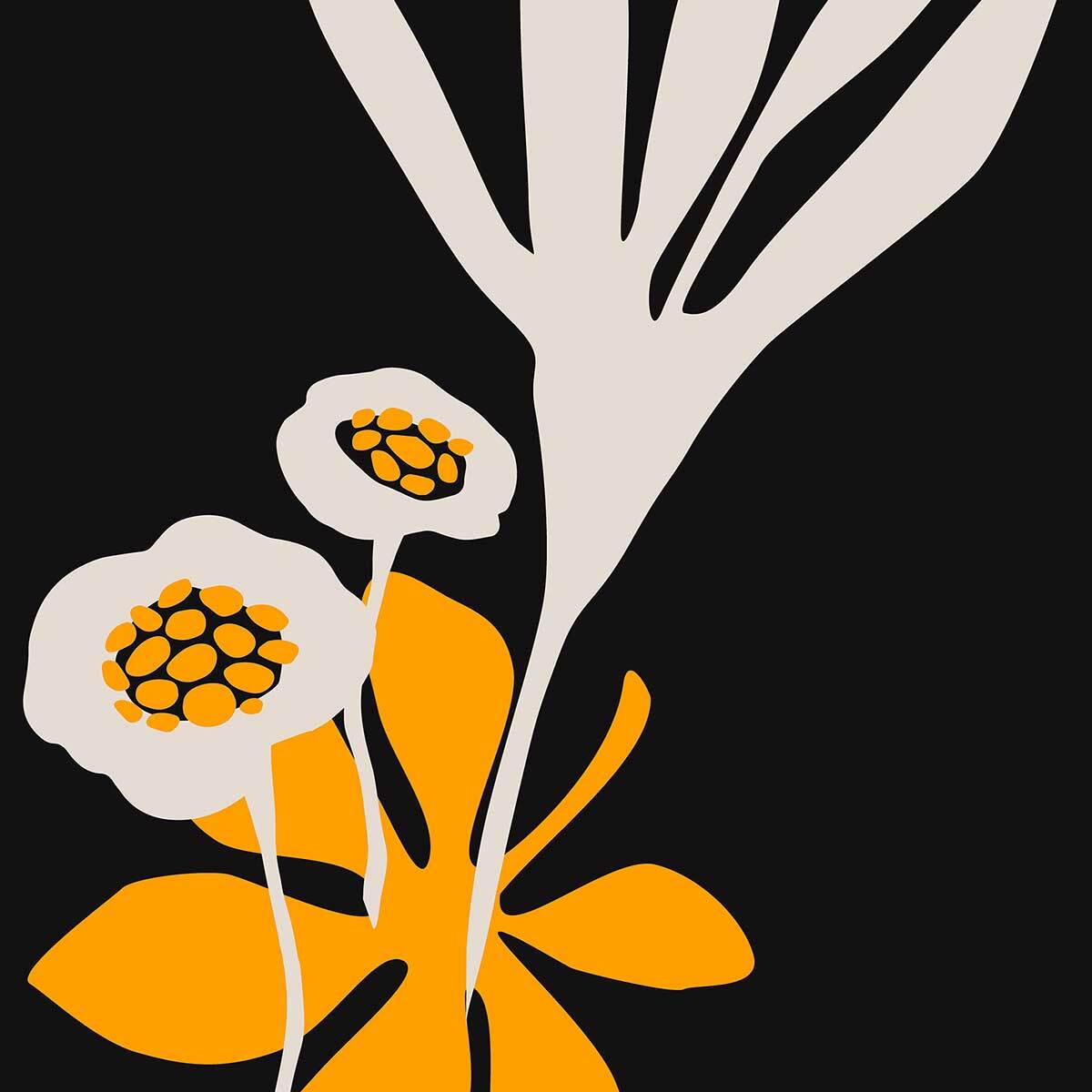 Poster fleurs colchiques Affiche sous cadre noir