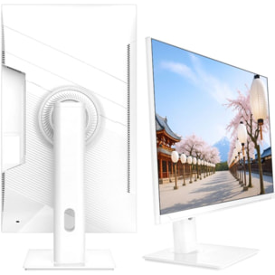 Ecran PC JAPANNEXT N-I27QR-C65W-H 27'' WQHD 75Hz IPS 8 ms AMD FreeSync KVM Blanc