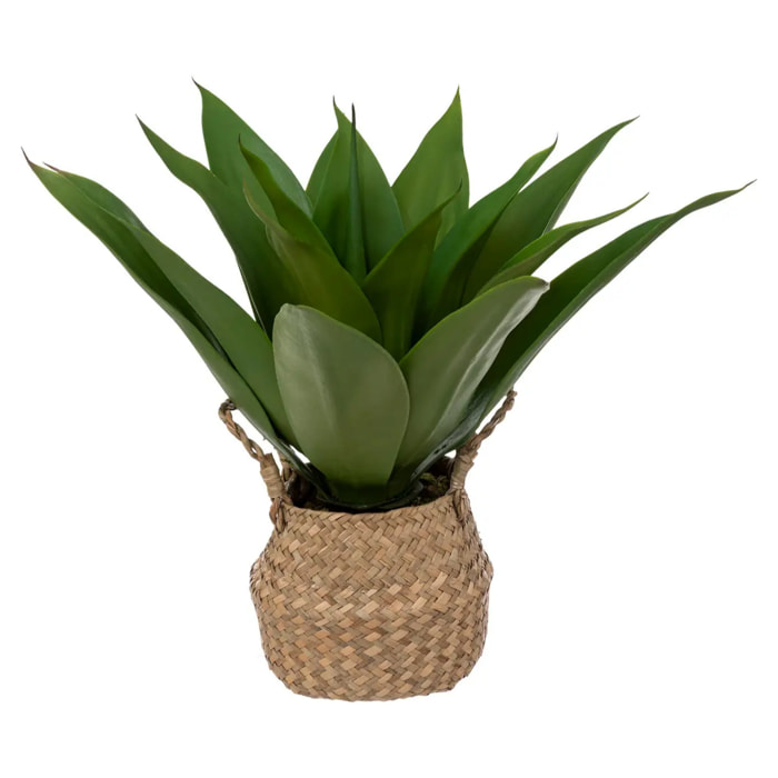 Agave artificielle - pot en roseau - H48 cm