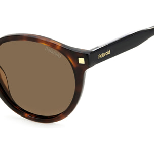 Gafas de Sol Polaroid PLD 4150/S/X 086 Polarizadas de Acetato Hombre 50 mm