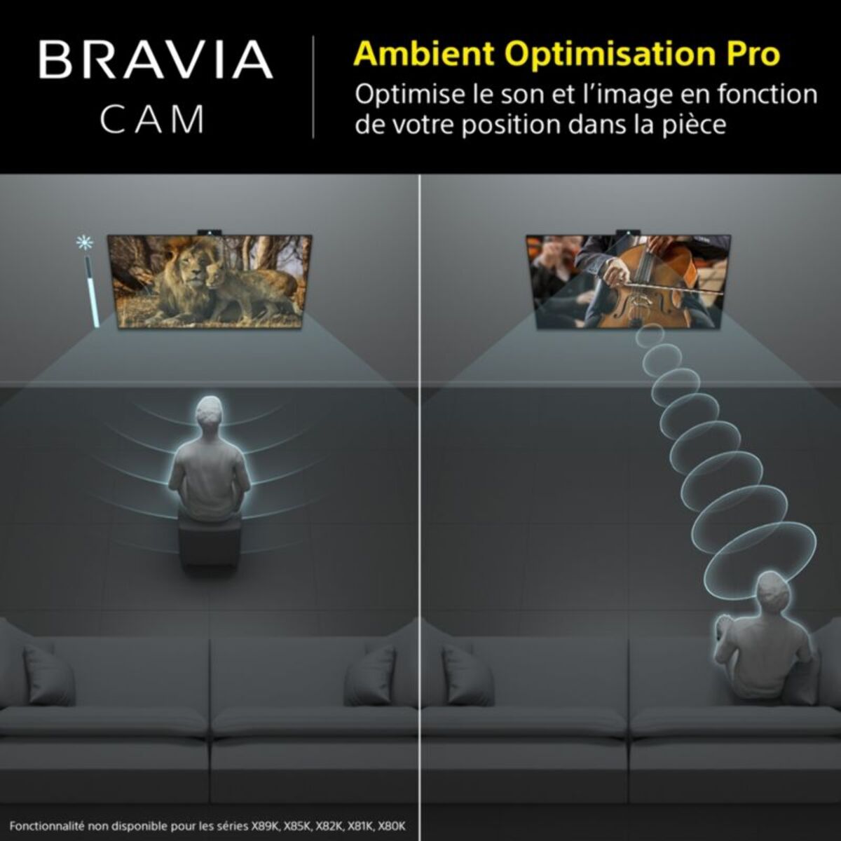 Caméra SONY Bravia Cam