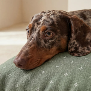 Lit pour animaux déhoussable et antitaches Monina Dusky 8