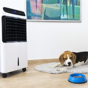 Cecotec Rafraîchisseur d’air Rafraîchisseur d’air par évaporation EnergySilence