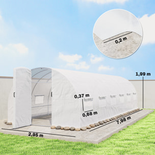 Serre tunnel de jardin 24 m² porte 12 fenêtres acier PE blanc