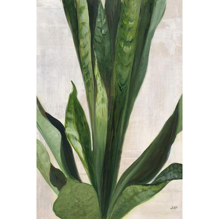 Tableau Sanseveria aquarelle Tableau alu Dibond