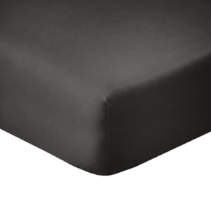 Drap Housse Uni 100% Coton - Essentiel - Gris Foncé