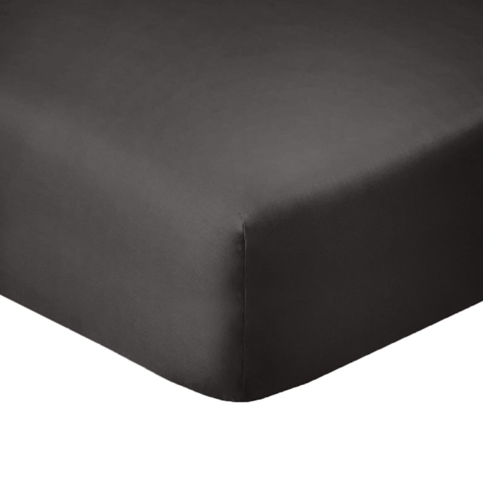 Drap housse coton gris fonce