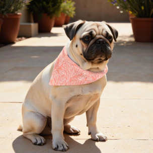 Pack de 2 bandanas pour animaux Estarit Corail