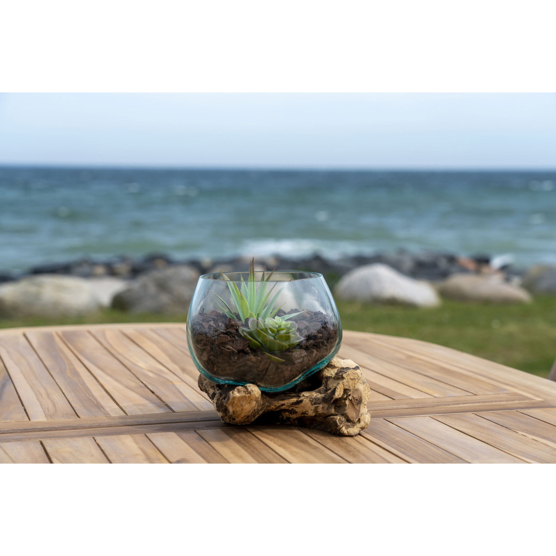 Terrario San Marino in vetro sferico su base in radice di teak 15x15x15 cm