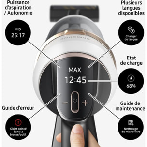 Aspirateur balai SAMSUNG Jet 85 Pet VS20C85G2TN