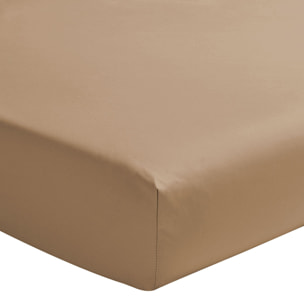 Drap housse uni en percale de coton, bonnet de 40cm, PREMIÈRE, Beige