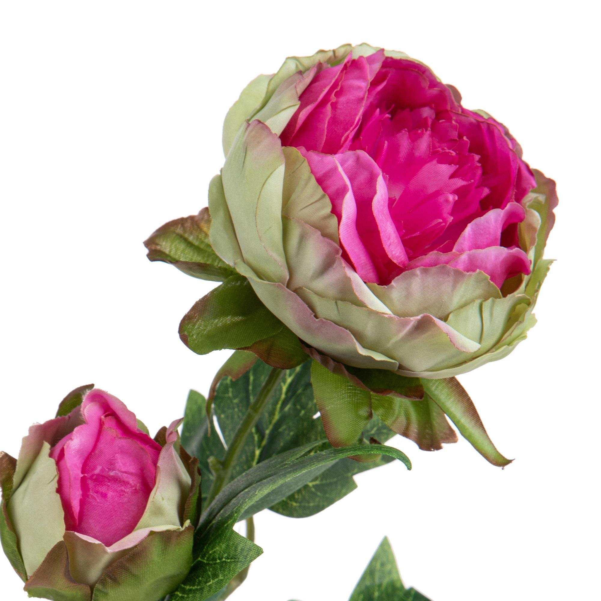 Peonia Per 2 Fiori 60 Cm - Pezzi 6 - 17,8X60X27,9cm - Colore: Rosa - Bianchi Dino - Fiori Artificiali