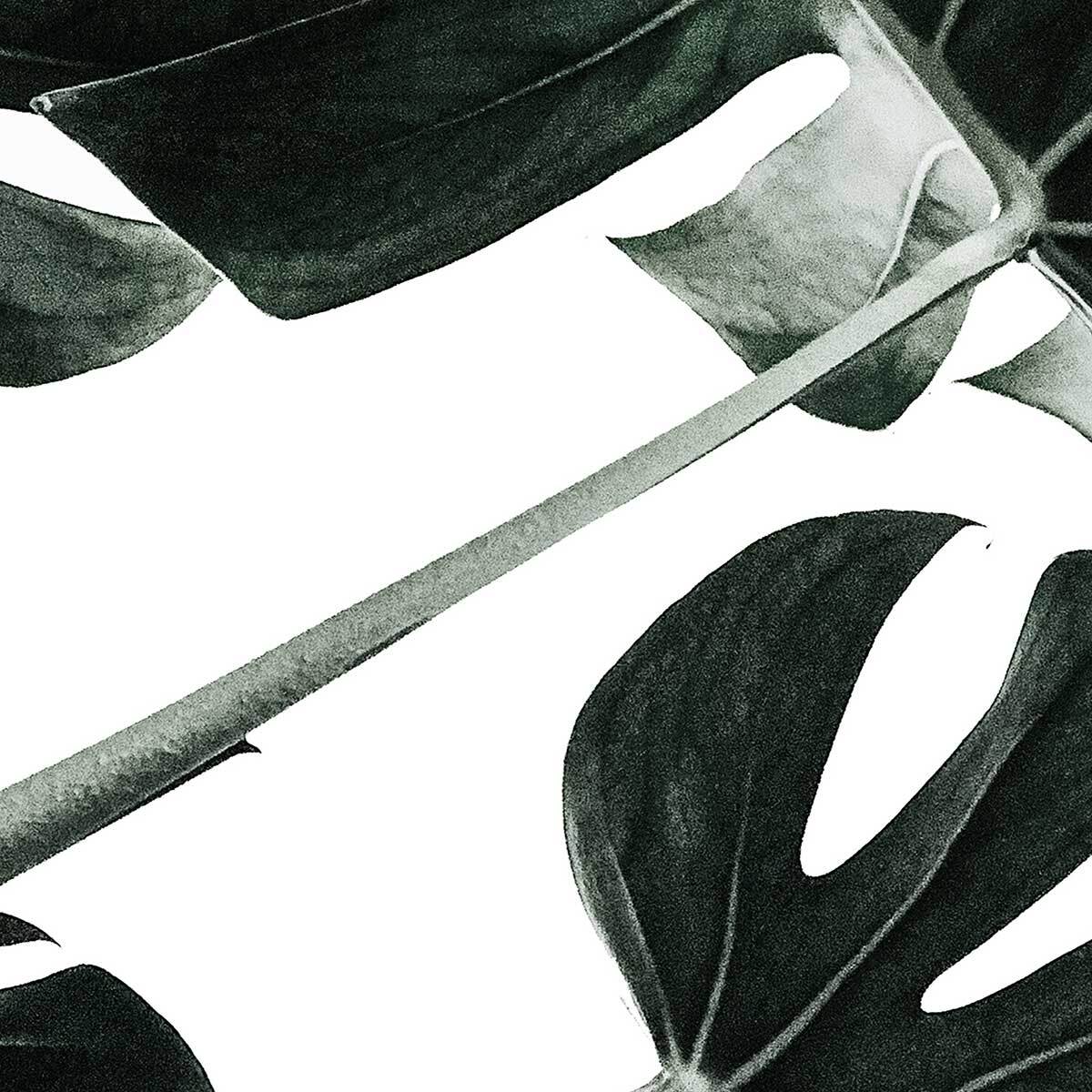 Affiche encadrée feuille tropicale monstera graphique Affiche + cadre en métal - Noir