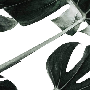 Affiche encadrée feuille tropicale monstera graphique Affiche + cadre en métal - Noir