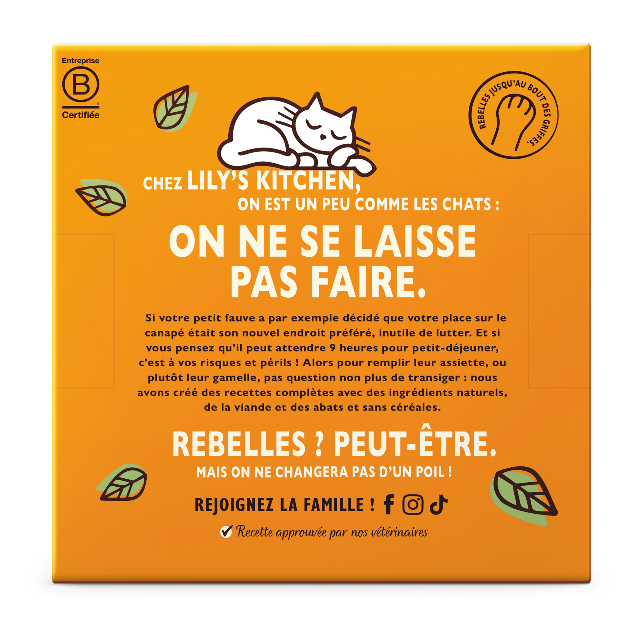 Lot de 48x85g - Lily's Kitchen Chat Délicieuses bouchées en sauce Multipac