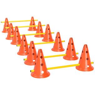 Set d'obstacles agility 12 cônes 6 piquets pour chien sac transport inclus