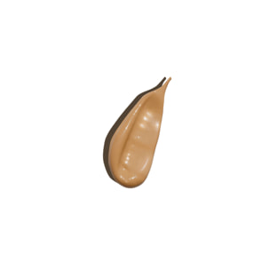 The Concealer - Correcteur Anti-cernes Perfectionnant Lumineux 4 ml