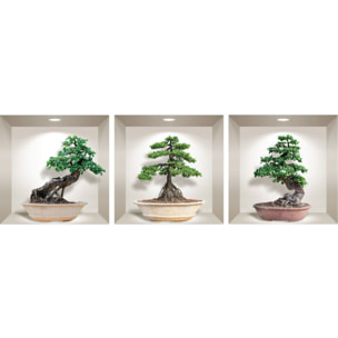Stickers muraux 3D | Sticker Mural Autocollant effet 3D bonsai ginseng - Stickers adhésifs 3D Chambre Salon Trompe l'oeil
