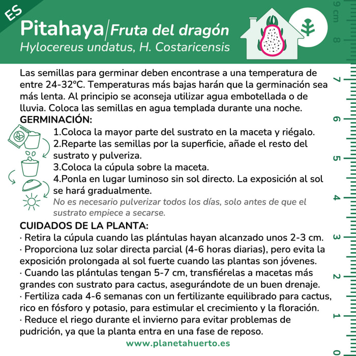 Kit de autocultivo Pitahaya Fruta dragón Planeta Huerto