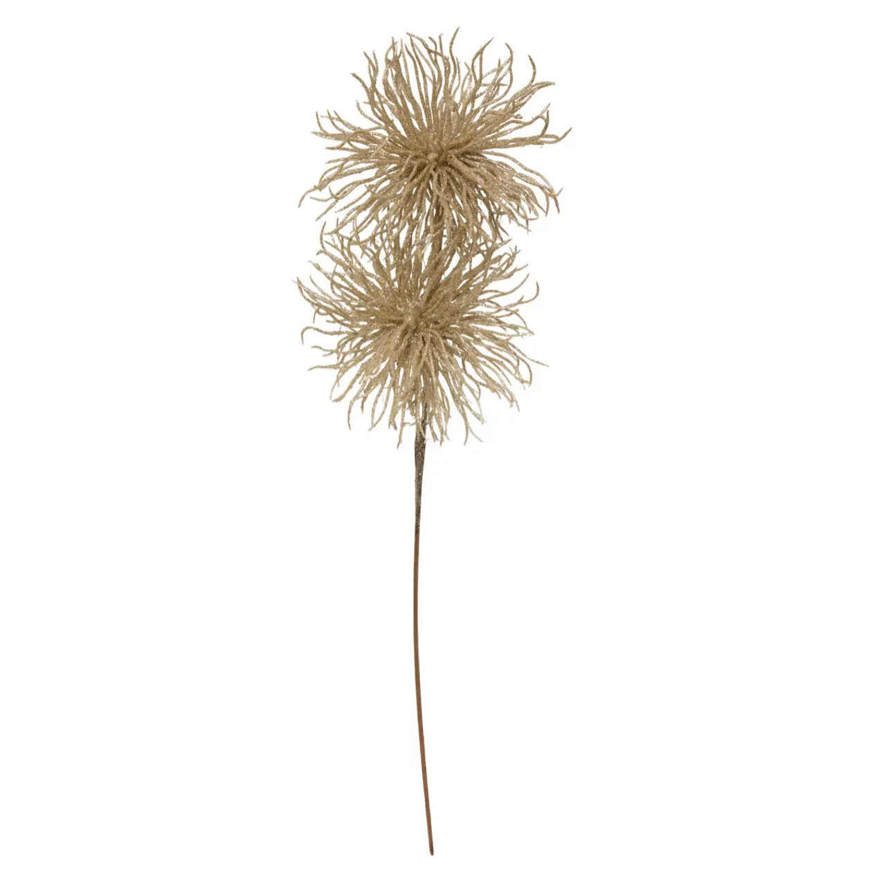 Branche 2 Oursins Paill Or  60 cm