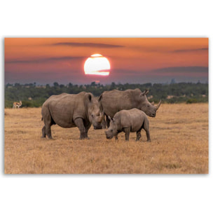 Tableau rhinocéros en famille au coucher du soleil Toile imprimée