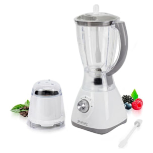 Blender 500W Gris Royalty Line RLSM400P2L-GRY