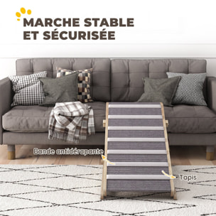 Rampe chien bois réglable surface antidérapante gris