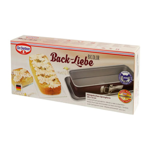 Lot de 2 moules à cakes à charnière 30 cm Dr. Oetker Back-Liebe Bicolor