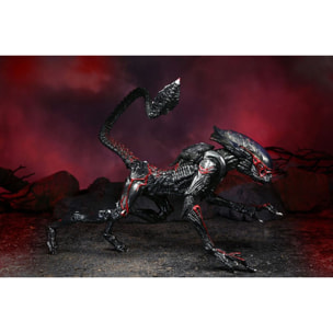 Aliens Action Figura Night Cougar Alien (kenner Tribute) 23 Cm Neca