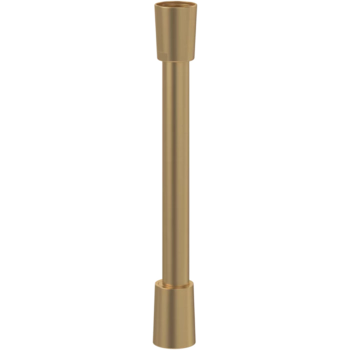 Flexible de douche Universal 160 cm Or brossé