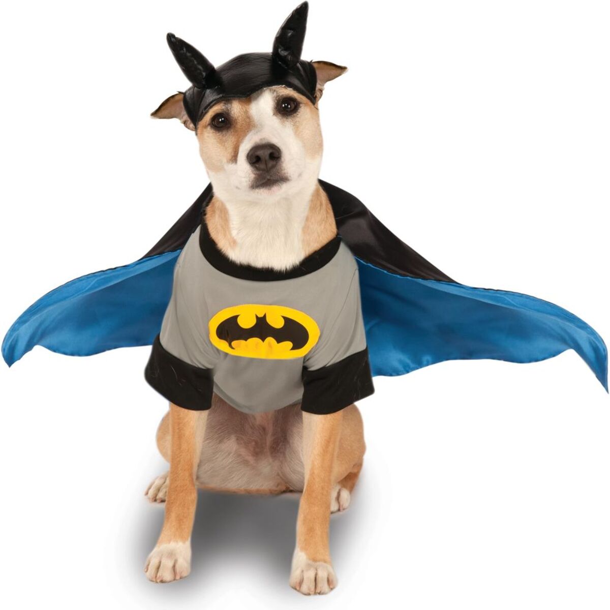 DISFRAZ BATMAN MASCOTA