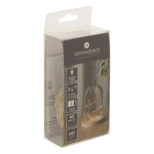 Guirlandes "Anya" 40 microLED à pile argent blanc chaud L400cm