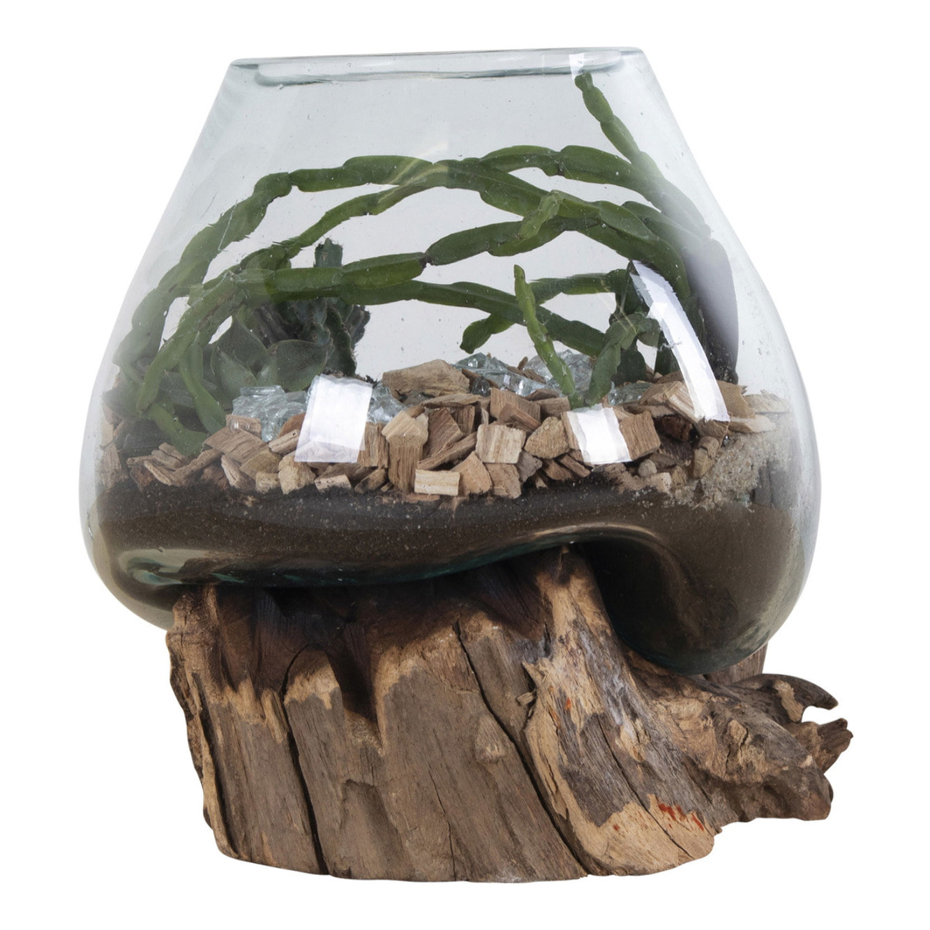Terrario San Marino in vetro a cupola su base in radice di teak 18x20 cm