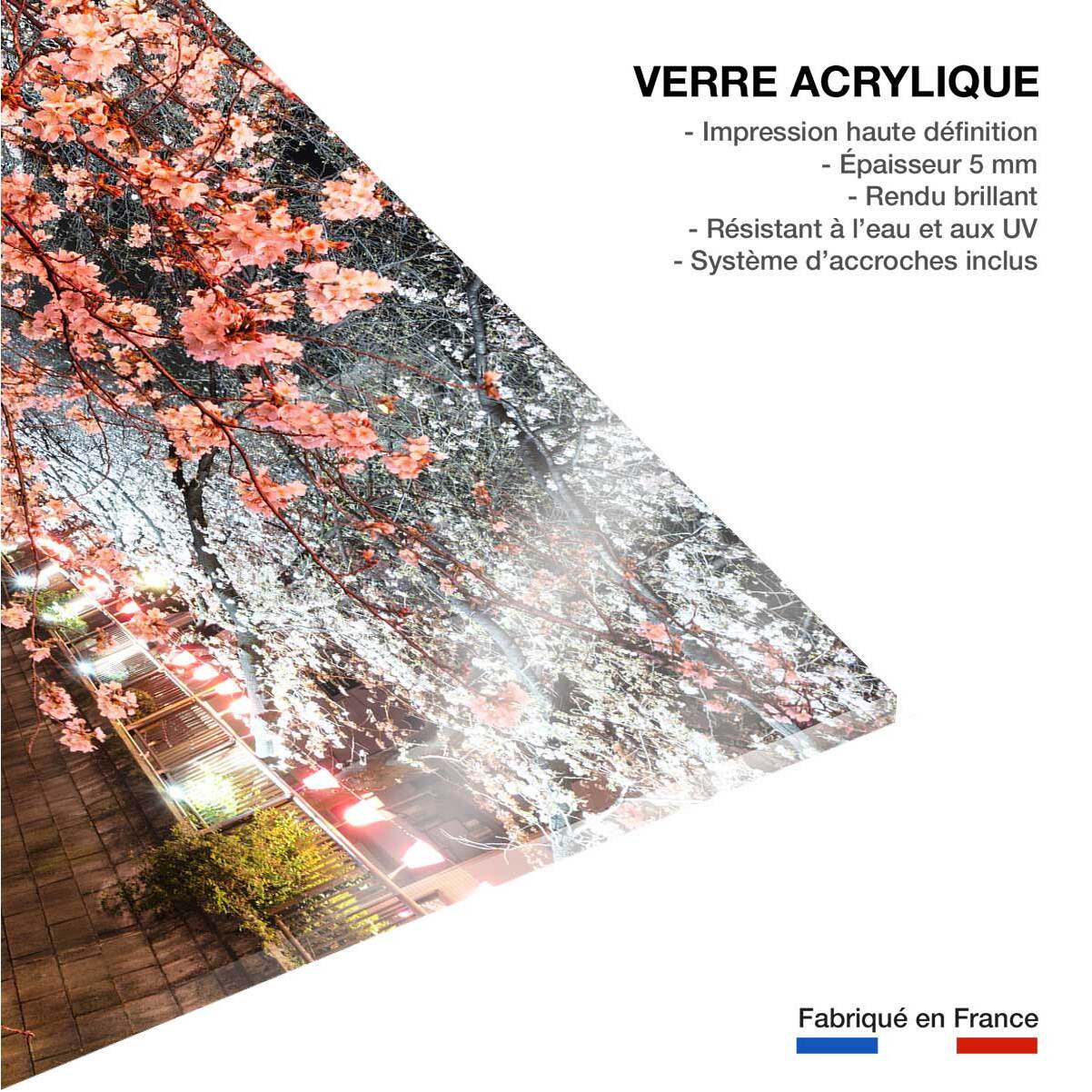 Tableau cerisiers et hanami à tokyo Tableau plexiglas