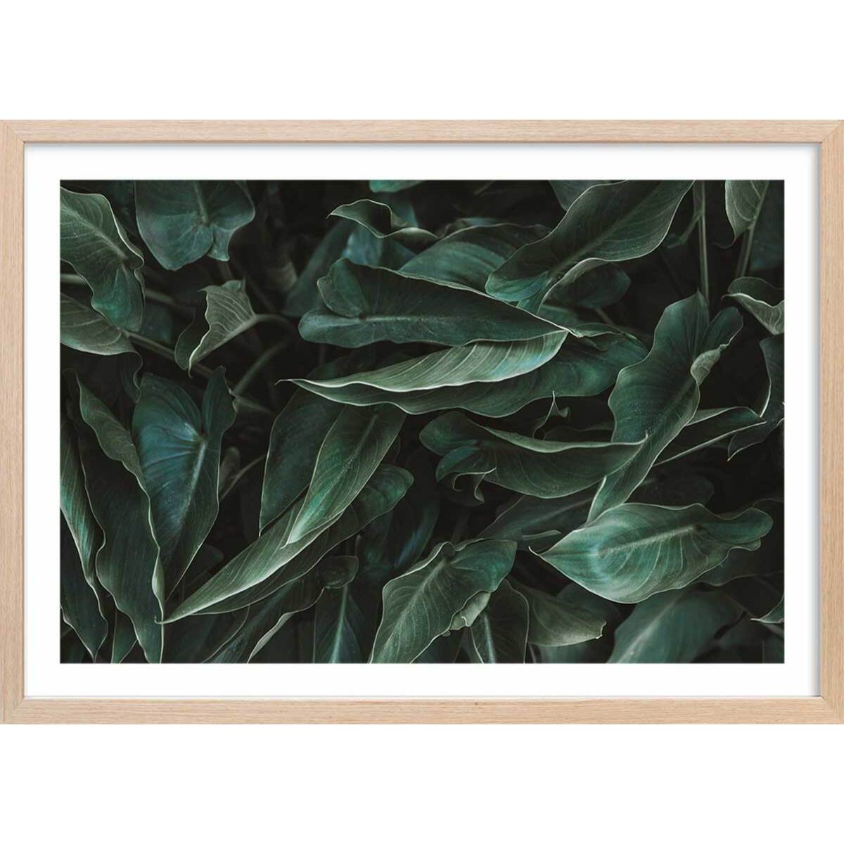 Affiche green leaves Affiche + cadre en bois - Chêne