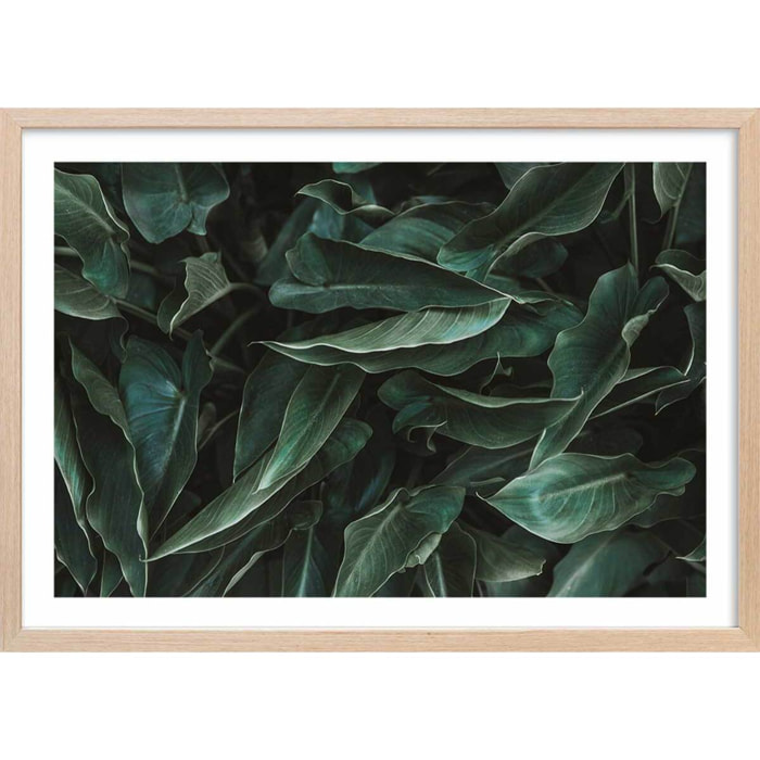 Affiche green leaves Affiche + cadre en bois - Chêne