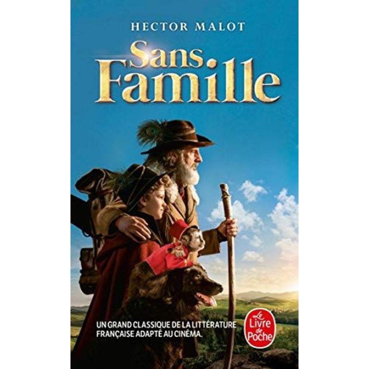 Malot, Hector | Sans famille (Nouvelle édition) | Livre d'occasion