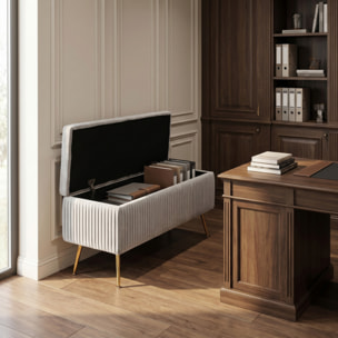 Panca Contenitore in Effetto Velluto a Coste con Ampio Vano Contenitore, Seduta Imbottita e Gambe in Acciaio, Design Moderno per Camera da Letto, Ingresso e Soggiorno