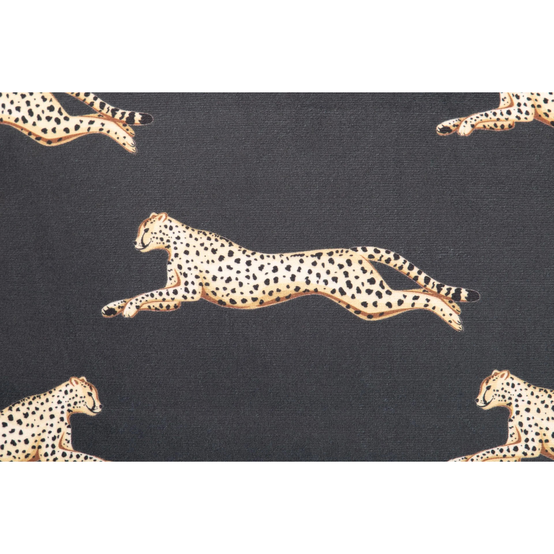 Cojin Velvet Leopardos Negro Dorado 45x13x45 Cm