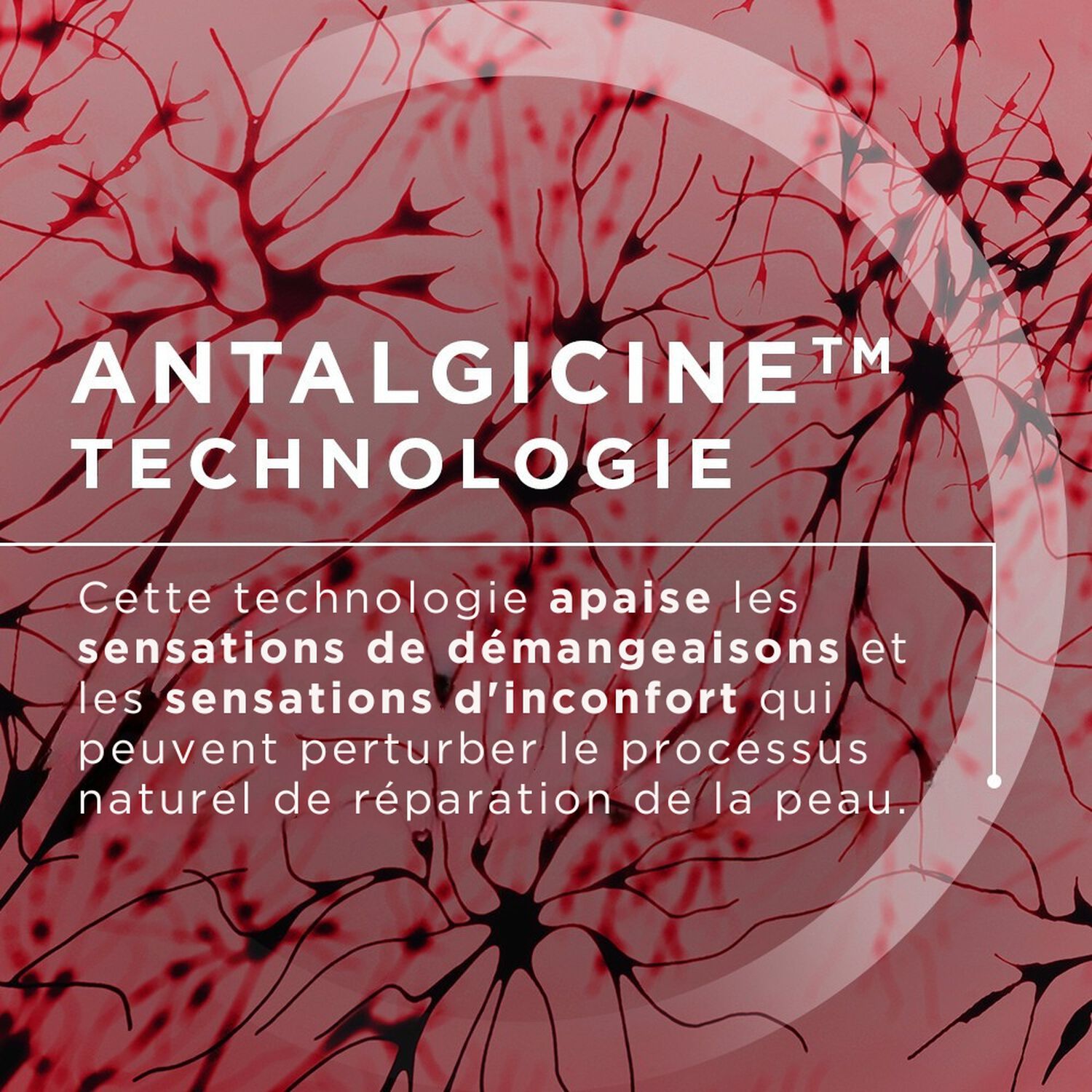 CICABIO - Crème+ Soin Ultra-réparateur