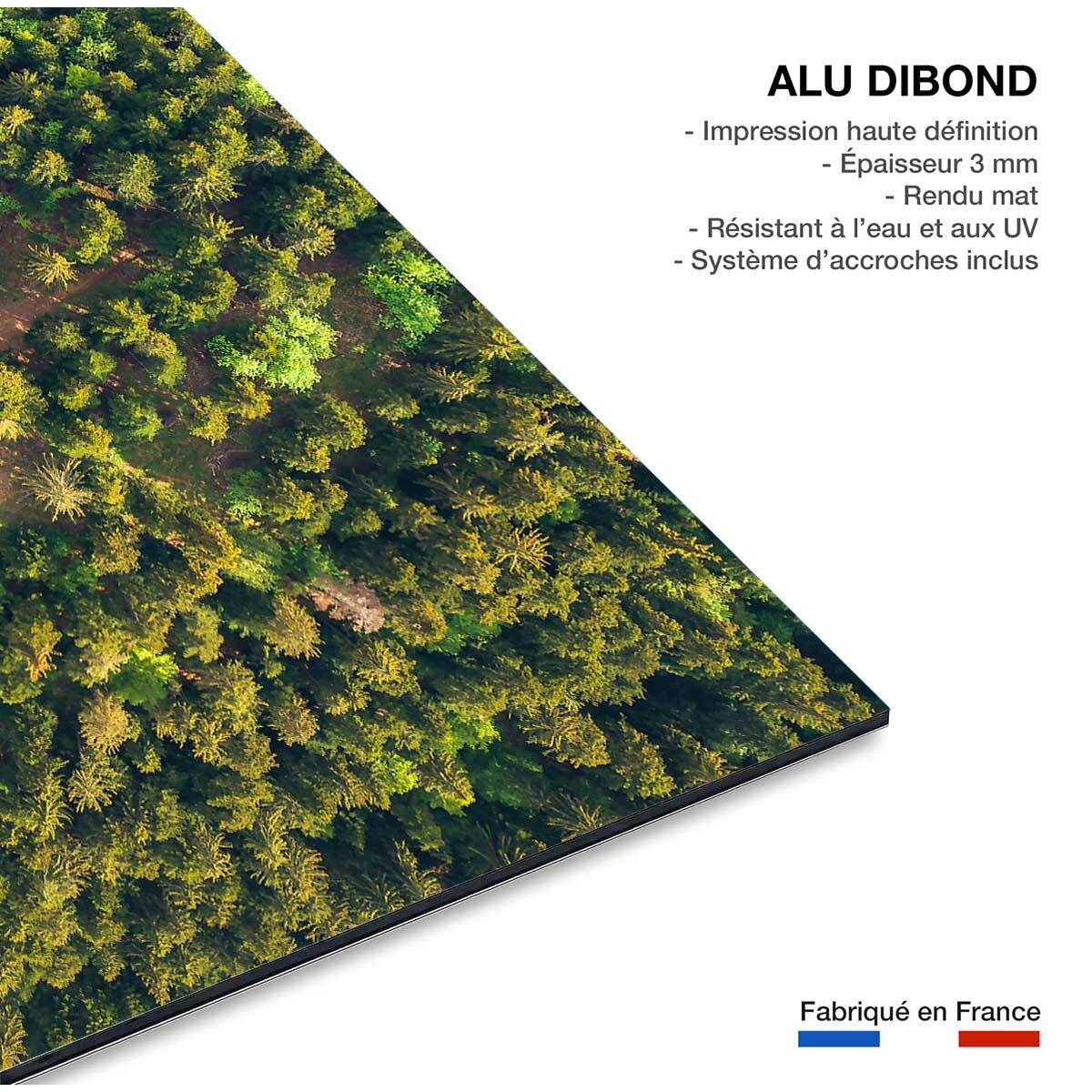 Tableau l' aventure Tableau alu Dibond
