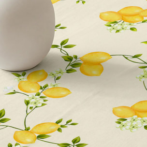 Nappe anti-taches 100% coton Pietro