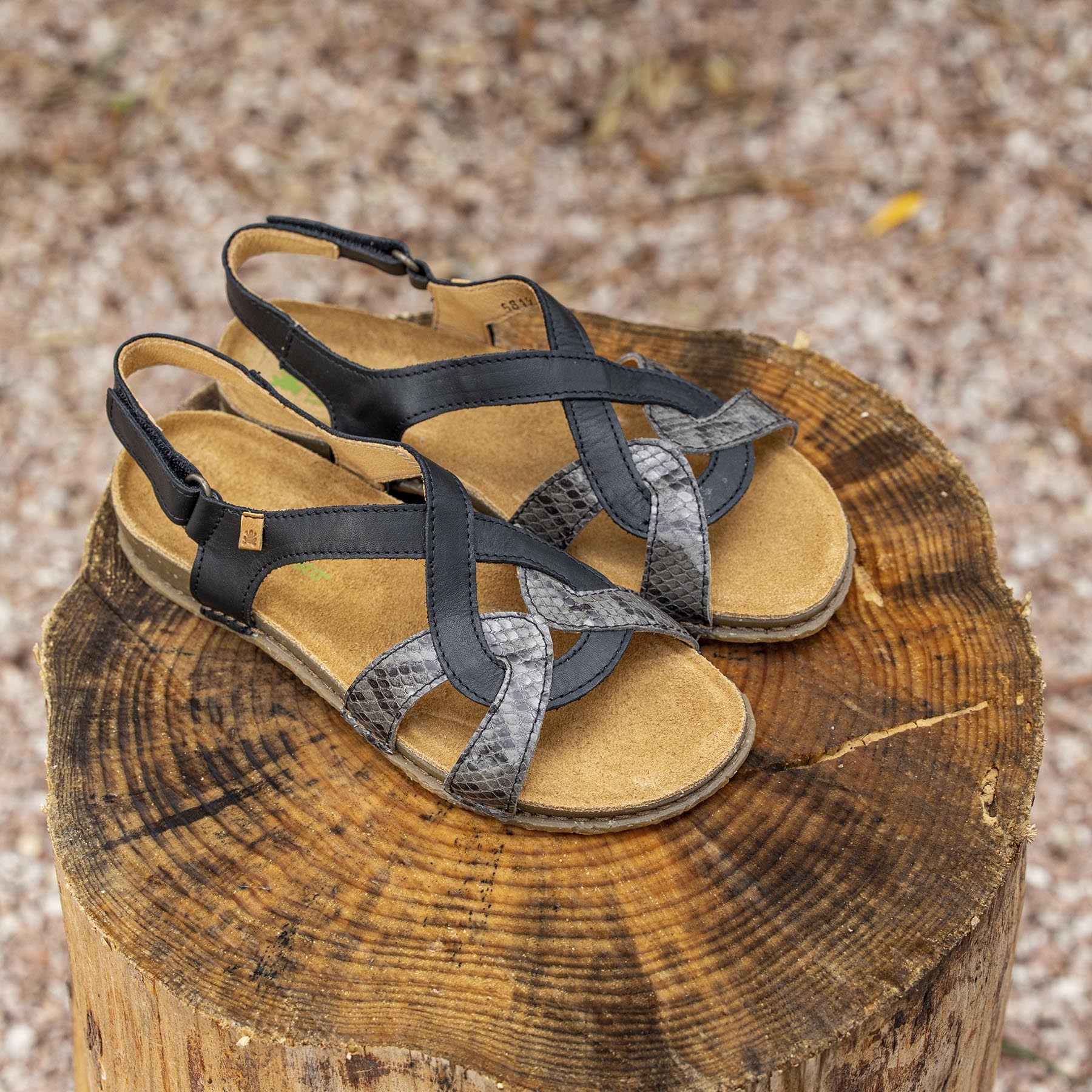 Sandalias N5819 SNAKE CREAM-BEIG /PANGLAO color Cream-beig
