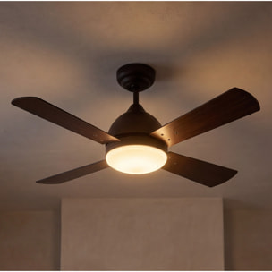 Forlight Ventilador IP20 Borneo E27 15W Marrón Wengue Madera haya