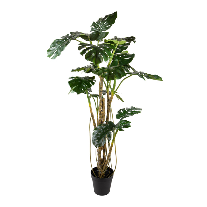 Monstera real touch - Pezzi 1 - Colore: Verde - Bianchi Dino