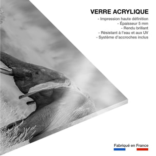 Tableau éléphant qui es tu? Tableau plexiglas