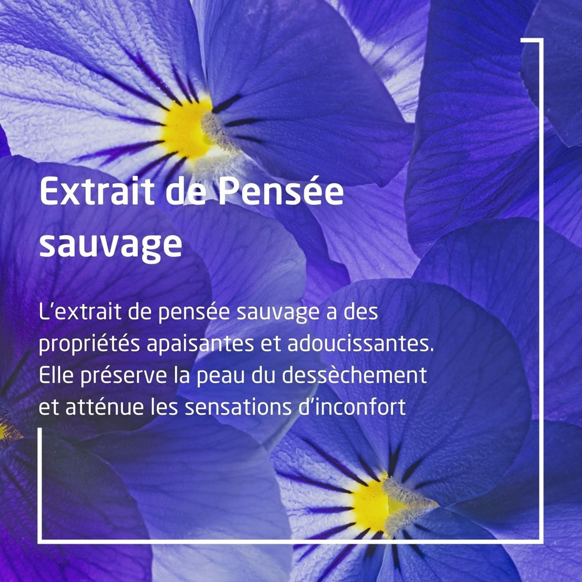 WELEDA - Duo Skin Food Soin réparateur - Nourrit intensément - peaux très sèches et agressées - Certifié Natrue **  - Tube 75 ml  x 2