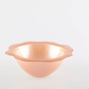 Lot de 6 BOL SAUMON
