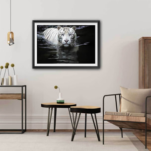 Affiche tigre Regarde moi... Affiche seule